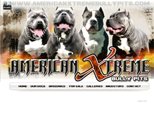Tablet Screenshot of americanxtremebullypits.com